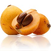 ازگیل ژاپنی